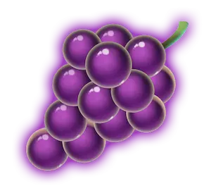 Traube